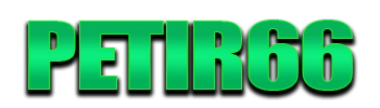 Logo Petir66